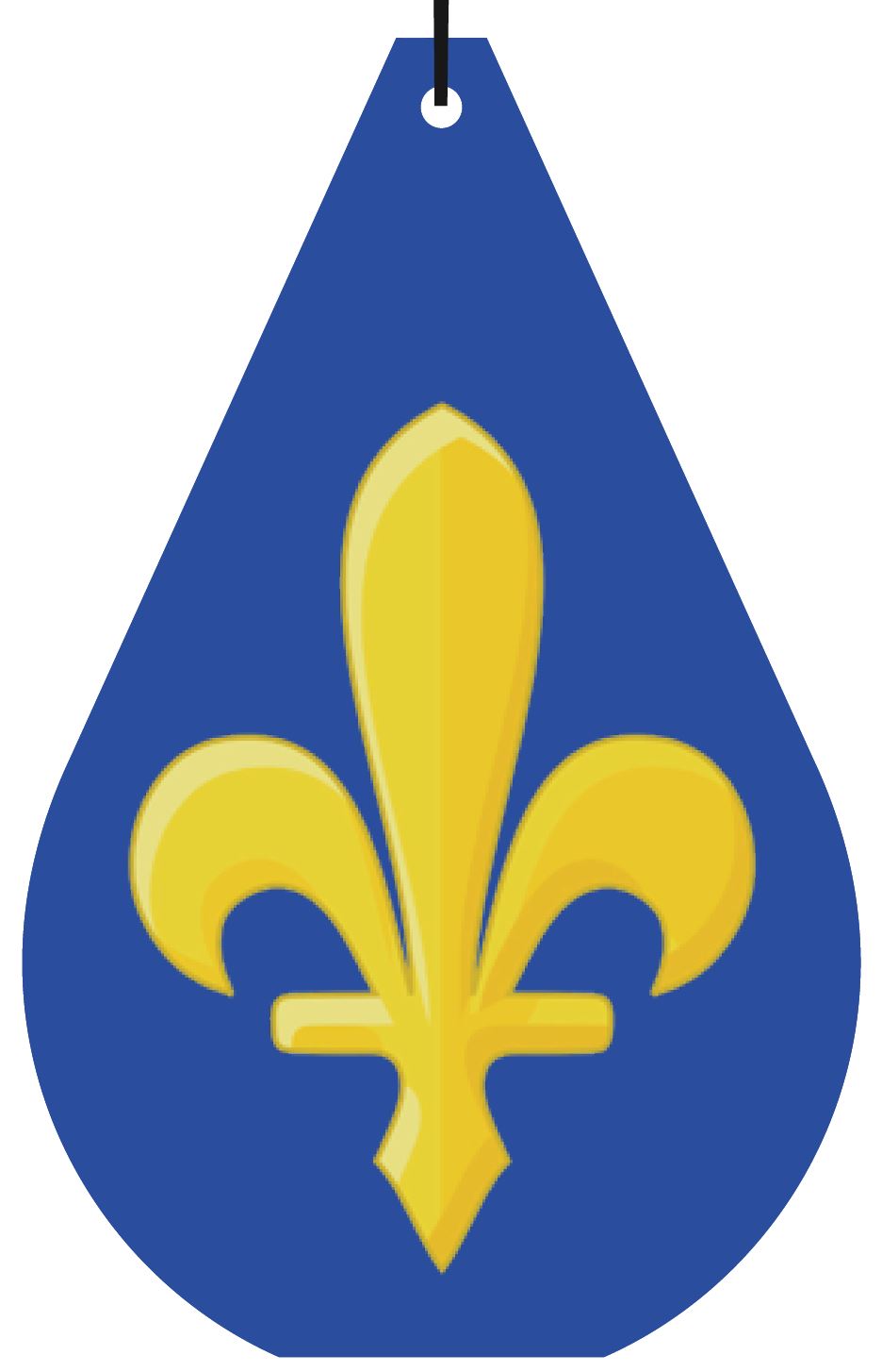 Bosnia Ljiljan/Lily BiH Map Air Freshener Wholesale Box (15 pcs)