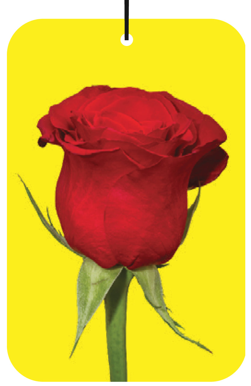 Red Rose Air Freshener Wholesale Box (15 pcs)