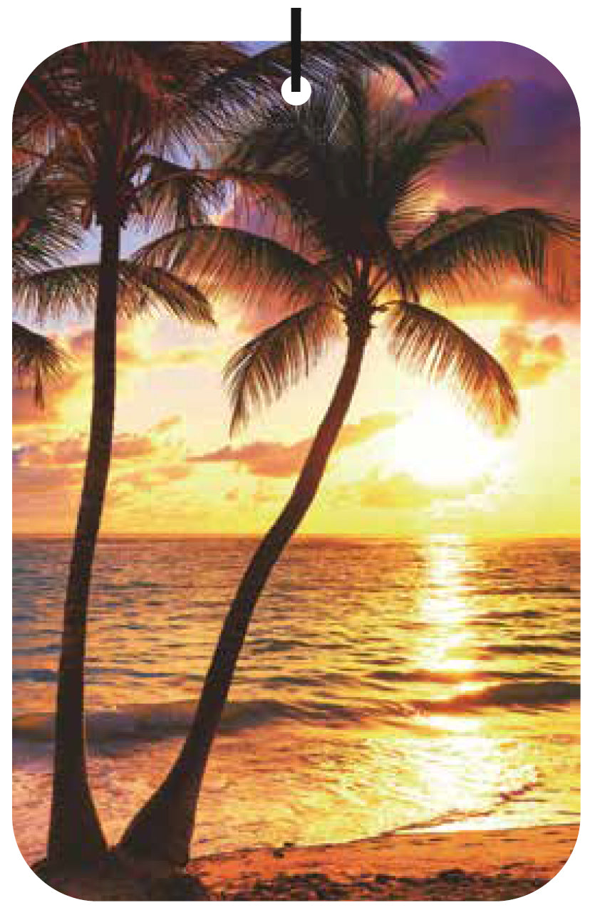 Beach-themed Air Freshener Wholesale Box (15 pcs)