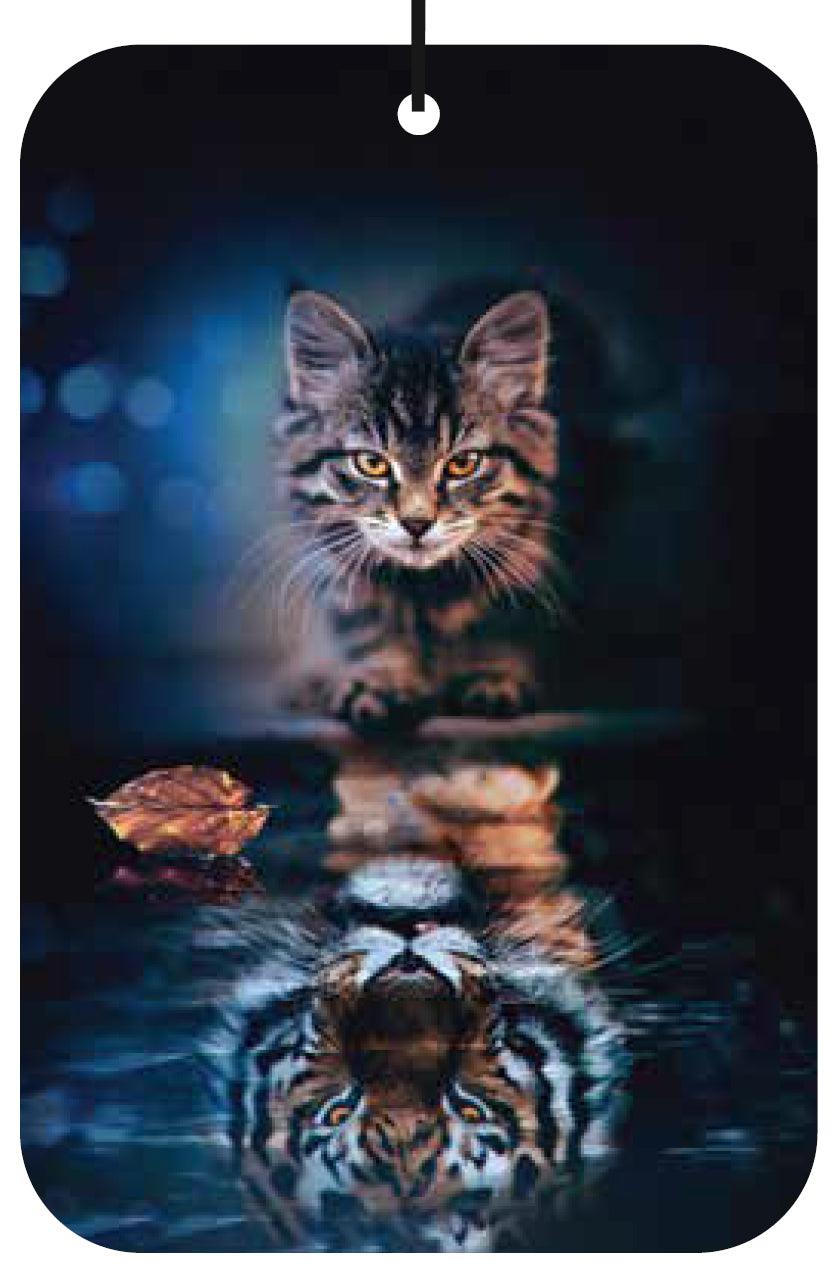 Cat-Tiger Air Freshener Wholesale Box (15 pcs)